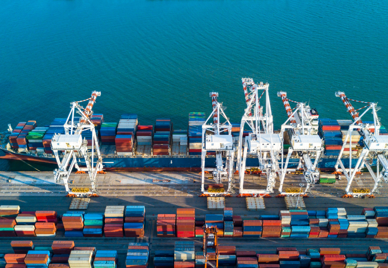 Importer Registration