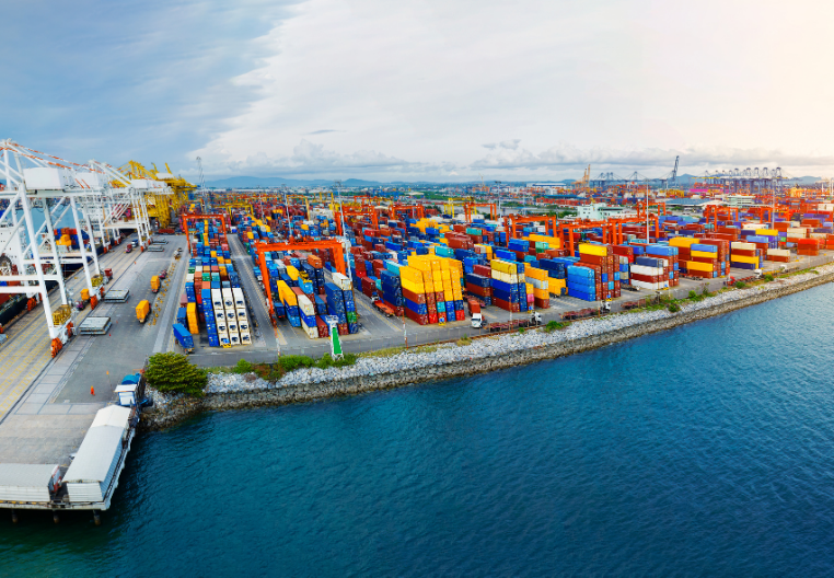 LMPC Importer Registration